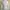 Bean Pole Ladies Baby Blue Fit Body Shirt Formal Minimalist  photo 5
