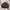 Vintage Chevingnon France Genuine Leather Sheepskin Olive Gr photo 4