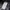 Carhartt detroit blanked “helmets to hardhats” work jacket photo 9