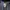 Carhartt detroit blanked “helmets to hardhats” work jacket photo 7