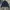 GAP Gorpcore Puffer jacket Pria navy photo 1