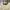 Longchamp Le Pliage Papier Medium Original Authentic! photo 1