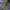 Vintage Schott Military cargo pants photo 3