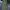 Vintage Schott Military cargo pants photo 1