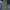Vintage Schott Military Cargo Pants