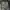 Vintage Schott Military cargo pants photo 6
