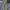 Vintage Schott Military cargo pants photo 4