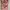 Novel Fantasteen Paranormal Angle New Original photo 1