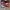 Converse Allstar Hi Red photo 1