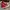 Converse Allstar Hi Red photo 3