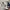 Kangol Established photo 9