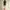 Inseowl photo 2