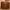 Coach Bea Tote Bag Two Tone photo 3
