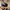 Vintage Truckerhat patch Asland Navy photo 3