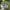 Realtree mossy oak photo 2