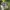 Realtree Mossy Oak