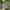 Realtree mossy oak photo 1