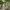 Realtree Mossy Oak