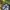 Realtree mossy oak photo 4