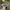 Realtree mossy oak photo 3