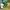 LABUAN4D EXCLUSIVE SERVER STAR GAMING ASIA NO.1 photo 1