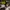 White Dress Wanita Cantik Seksi Cosplay