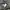 WINDBREAKER NIKE REVESIBLE photo 5