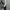 Neil Barrett Neoprene Crewneck photo 4
