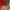 Streetwear Luxury Sweater Wanita multicolor red photo 5