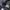 Adidas Casual Tracksuit Pria navy photo 8
