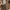 Bottega Veneta Vintage Shoulder Bag Wanita Tan