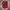 Celana Pendek Running Nike Red photo 1