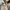 Helly Hansen Vintage Y2K Windbreaker Pria tan photo 5