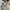 Helly Hansen Vintage Y2K Windbreaker Pria tan photo 4