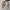 Helly Hansen Vintage Y2K Windbreaker Pria tan photo 2