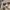 Helly Hansen Vintage Y2K Windbreaker Pria tan photo 8
