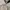 Helly Hansen Vintage Y2K Windbreaker Pria tan photo 7