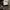 Celana Pendek Utility Gramicci Pattern photo 4