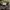 Celana Pendek Utility Gramicci Pattern photo 3