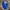 Trackpants Adidas Europe Blue photo 1