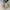 Vintage Y2K Bomber jacket Pria tan photo 3
