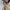 Vintage Y2K Bomber jacket Pria tan photo 4