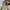 Vintage Y2K Bomber jacket Pria tan photo 5
