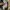 Celana Pendek Chinos Ben Davis Navy photo 3