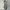 Uniqlo | Chinos| Relaxed | Ankle | Casual Pants | Work Pants photo 4