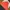 Kangol Windbreaker Nylon Jacket Colour Block photo 6