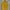 A244. ROMPI JARING WARNA KUNING SIZE XL  PRELOVED photo 3