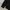 MONCLER Hooded Quilted Puffer Jacket photo 5