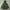 LEVI'S Sutro M-65 Military Field Parka Jacket photo 2