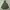LEVI'S Sutro M-65 Military Field Parka Jacket photo 8